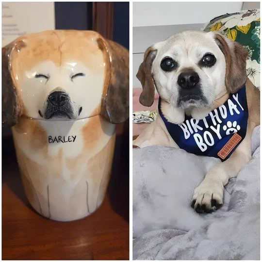 Finished hand-sculpted pet memorial urn example 5