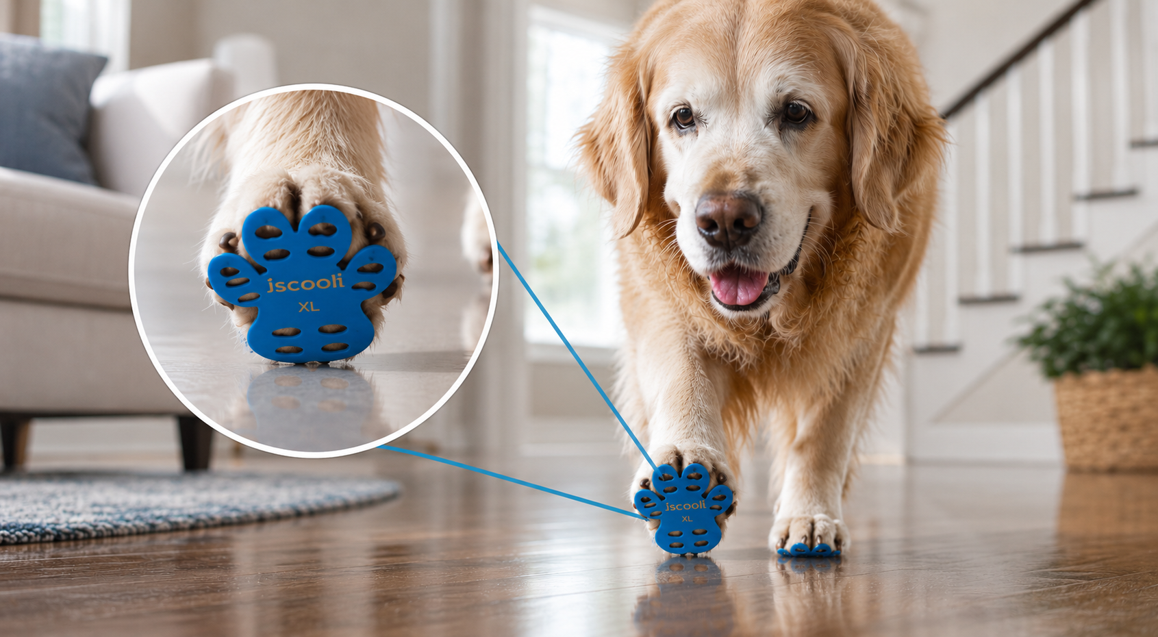 Senior dog standing steadily on a smooth indoor floor with paw grip support