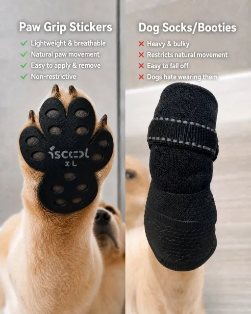 Comparison between paw grip stickers and dog shoes for indoor traction